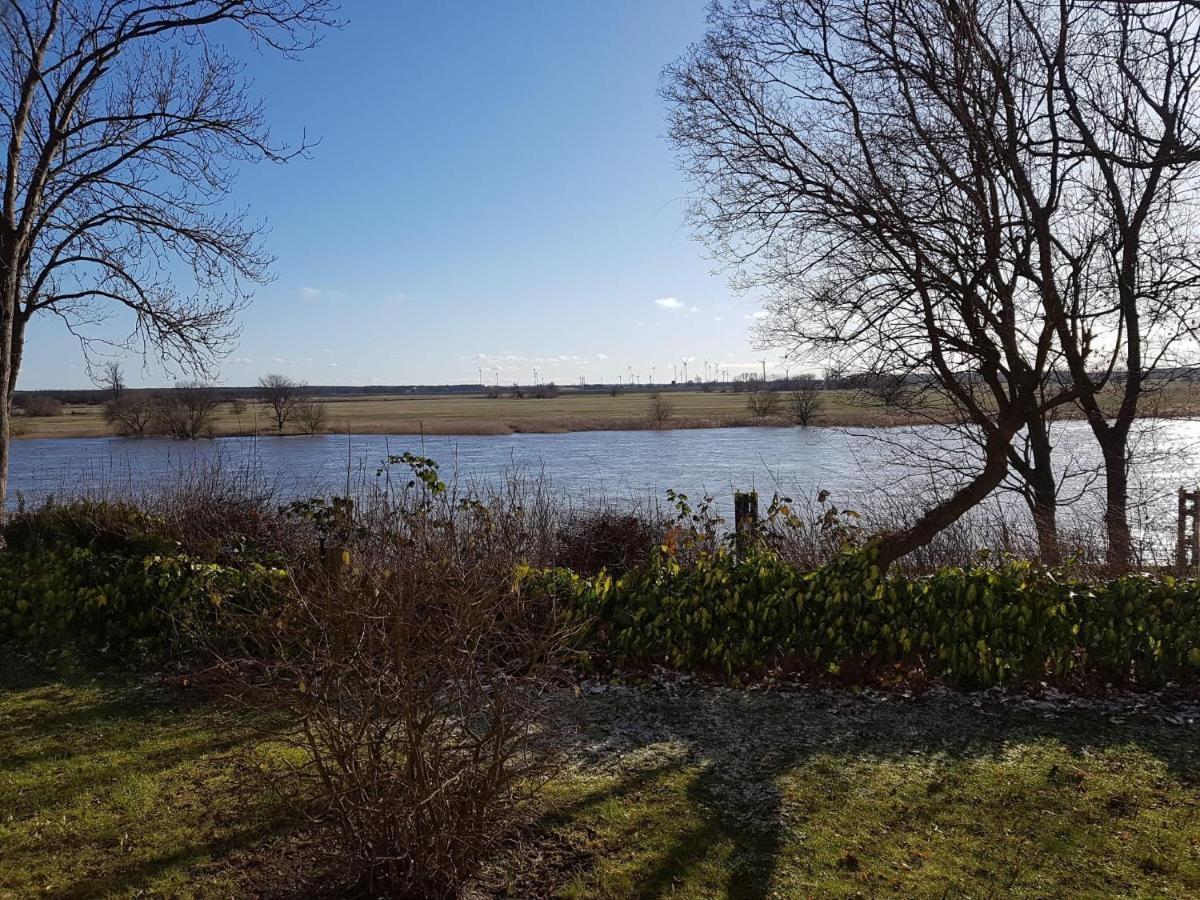 Elbblick Mit Garten *