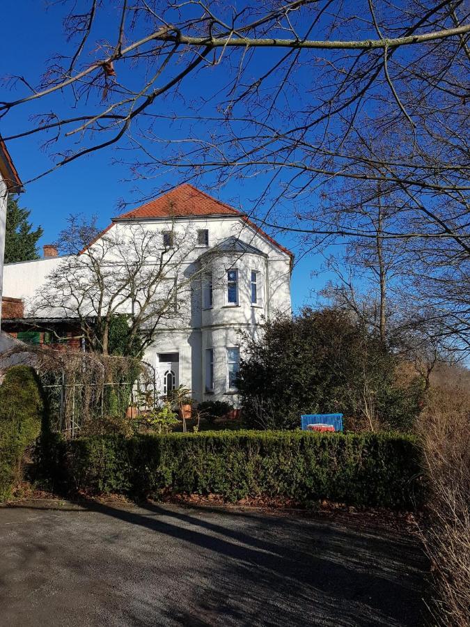 Elbblick Mit Garten *